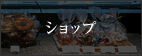 �V���b�v